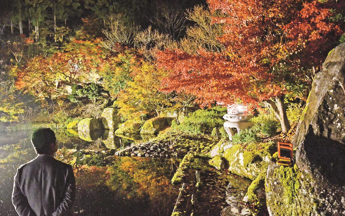 竹灯籠 〜彩紅葉〜