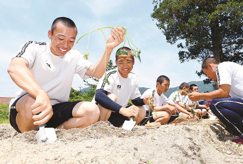スイーツ作って売るぞ矢上高生 起業学ぶ サツマイモ６次産業化 山陰中央新報デジタル