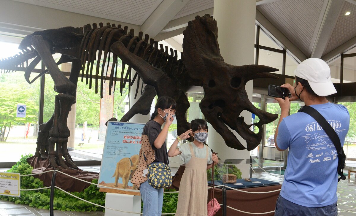 迫力満点 サヒメルに 恐竜 集合 今にも動き出しそう ｓデジオリジナル記事 山陰中央新報デジタル
