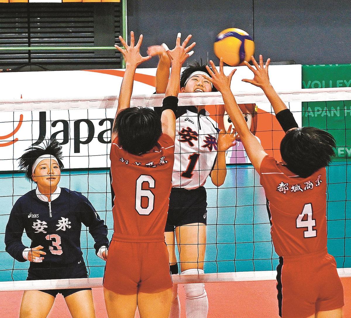 太字 申請者 加入 女子 高 バレー 歴史的 付録 広々とした 太字 申請者 加入 女子 高 バレー 歴史的 付録 広々とした