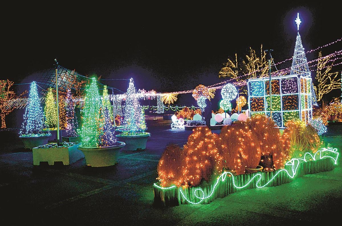 100万球の幻想空間 とっとり花回廊 12日からフラワーイルミ 山陰中央新報デジタル 100万球の幻想空間 とっとり花回廊 12日からフラワーイルミ 山陰中央新報デジタル
