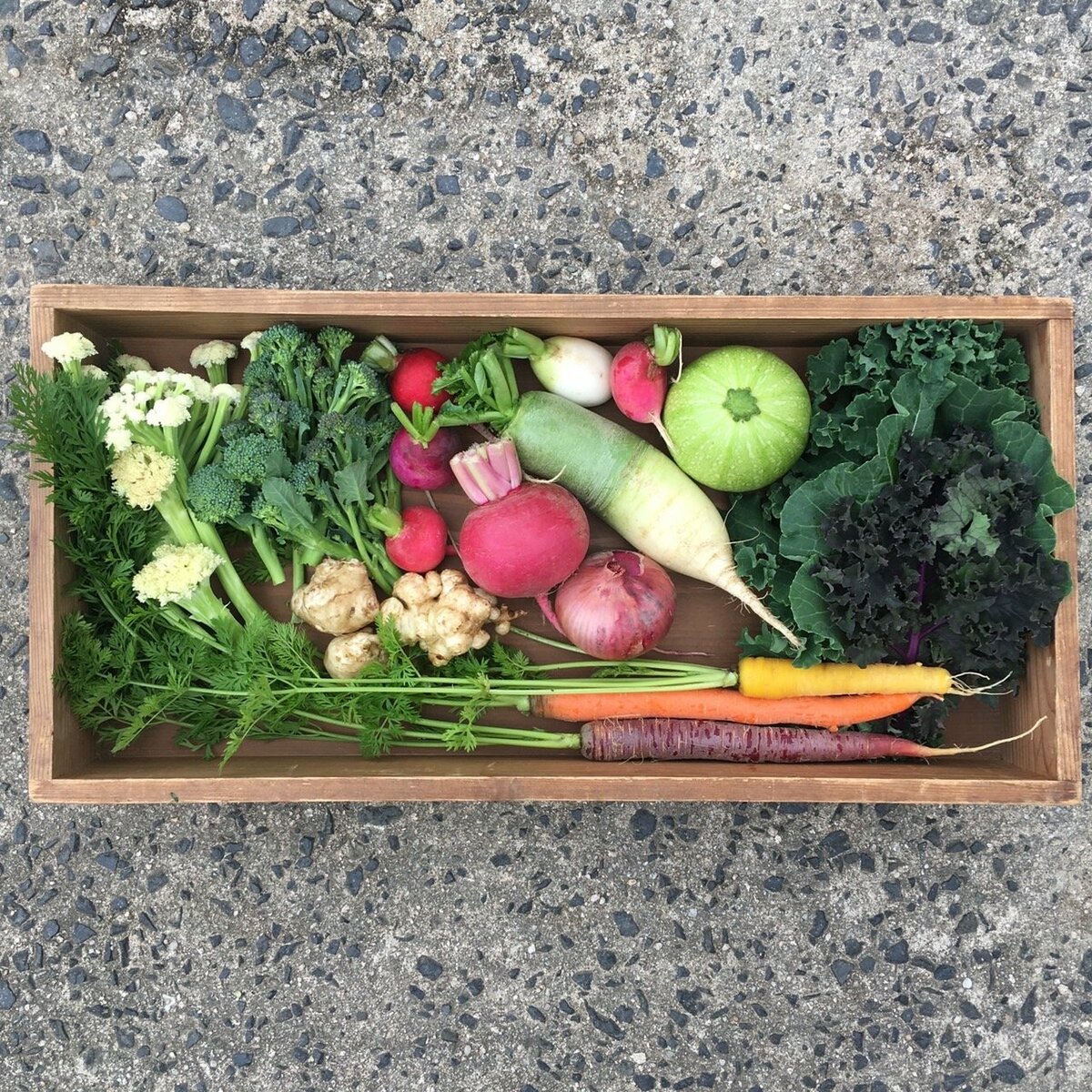 動画あり 旬がつまった野菜ボックス 農業 野菜販売 Spira Farm スピラファーム Sデジオリジナル記事 山陰中央新報デジタル