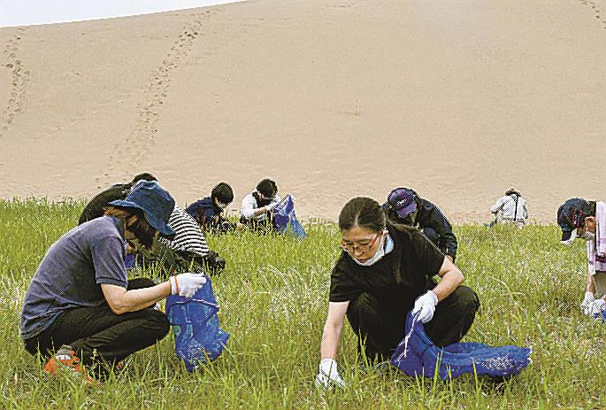 鳥取砂丘 緑化 に悩む コロナ禍 除草ボランティア半減 山陰中央新報デジタル